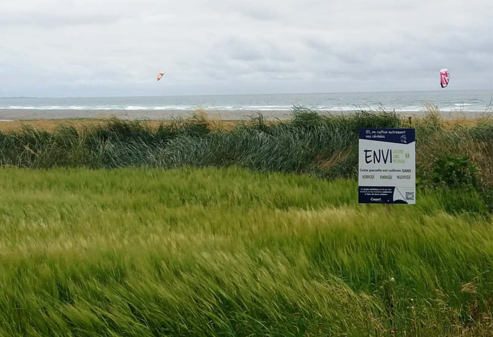 Démarche Envi, les éleveurs adhérents Cooperl engagés pour une agriculture durable