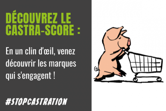 Découvrez le castra-score par Welfarm
