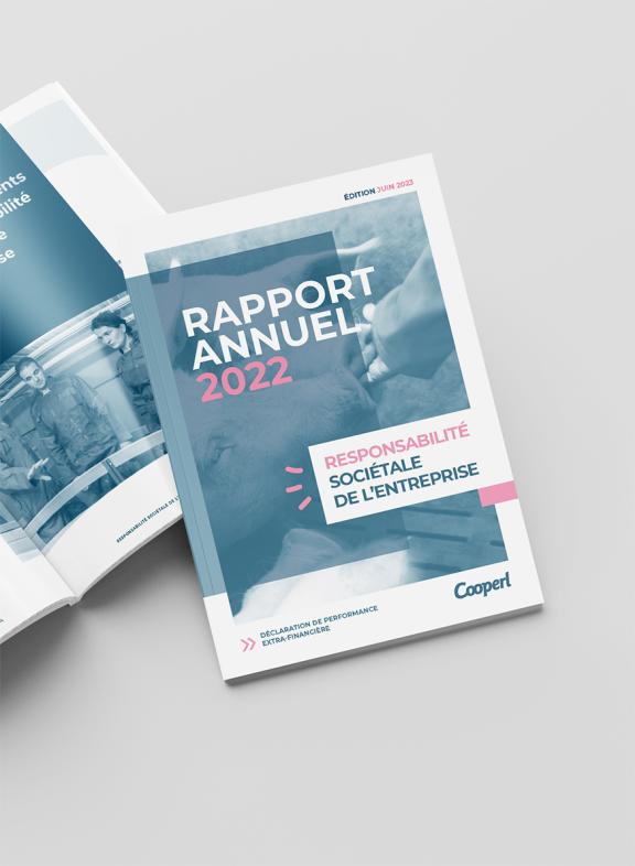 Mockup rapport DPEF - card juin 2023
