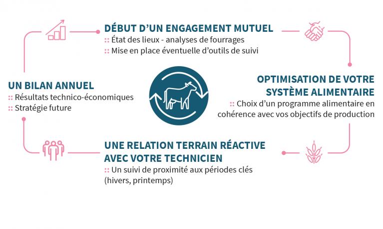 Eleveurs bovins - suivi organisé de proximité 