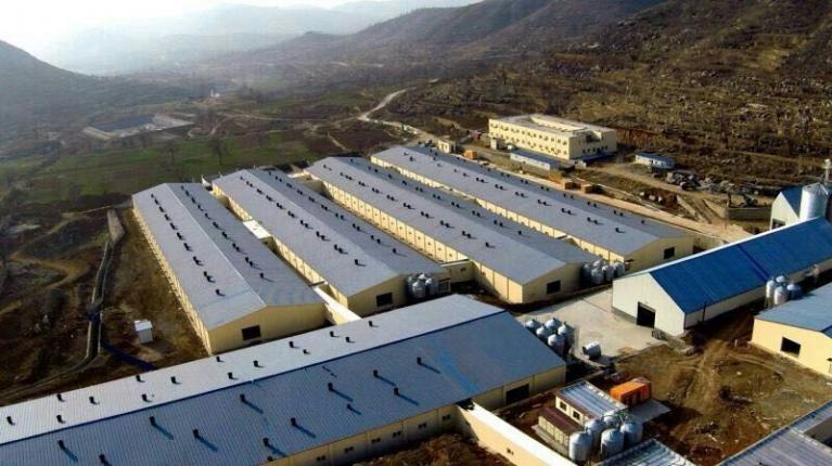 Développement d'une filière de production complète du porc en Chine 