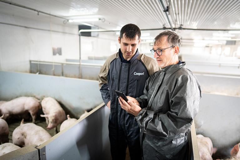 cooperl groupement éleveurs porcs