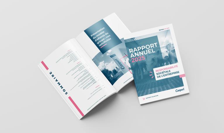 mockup rapport RSE juin 2026